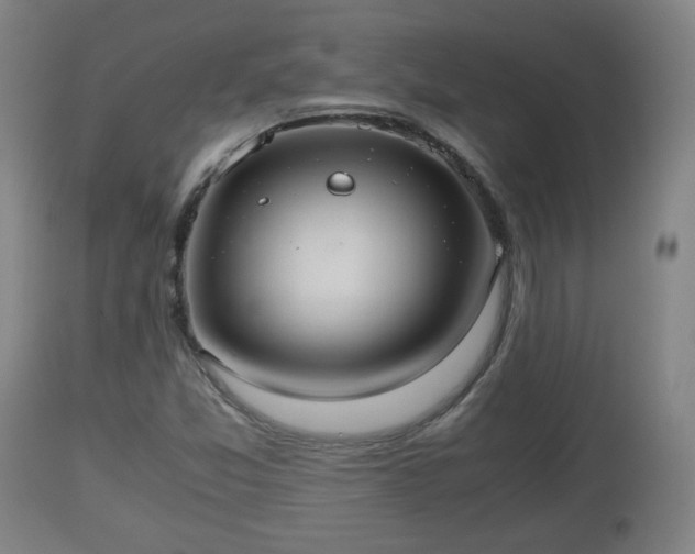 X0000110931357200906251323