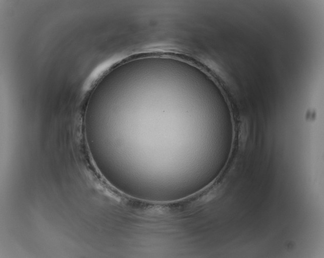 X0000110931358200906251323