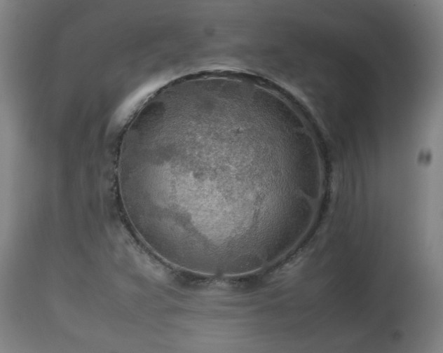 X0000110931359200906251323