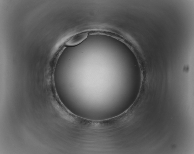 X0000110931360200906251323