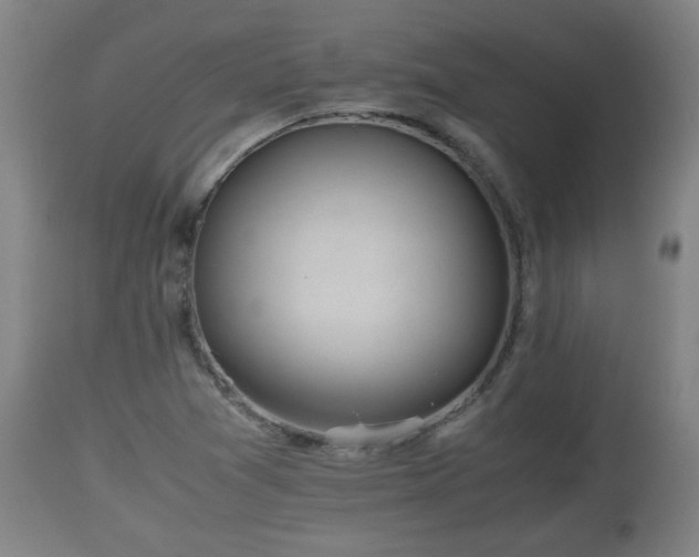X0000110931361200906251323