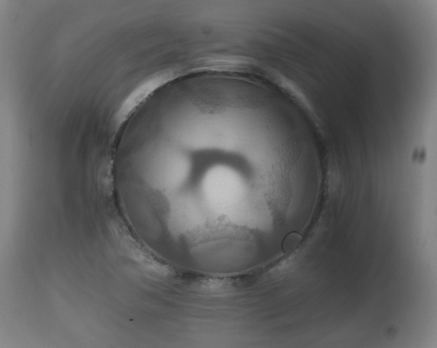X0000110931362200906251323