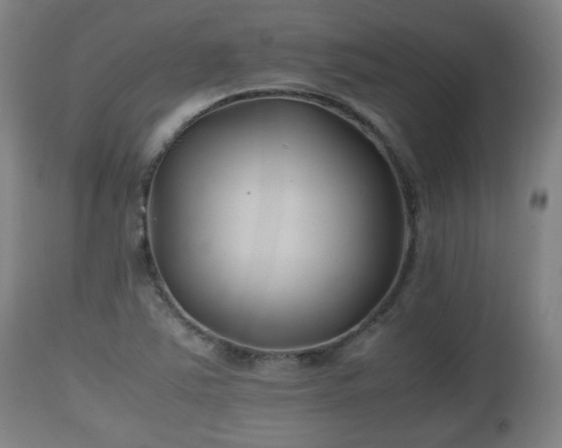 X0000110931363200906251323