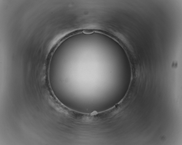 X0000110931364200906251323