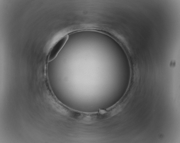 X0000110931365200906251323