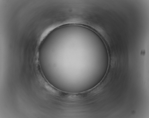 X0000110931366200906251323