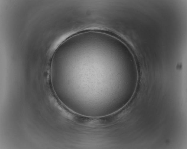 X0000110931367200906251323
