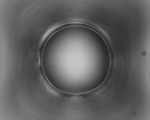 X0000110931368200906251323