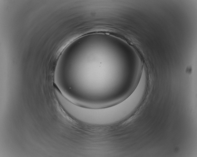 X0000110931369200906251323