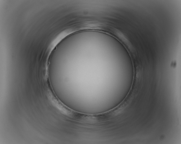 X0000110931370200906251323