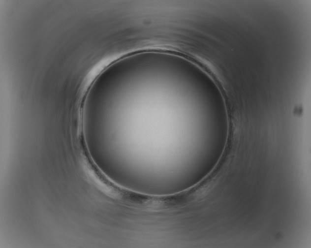 X0000110931371200906251323