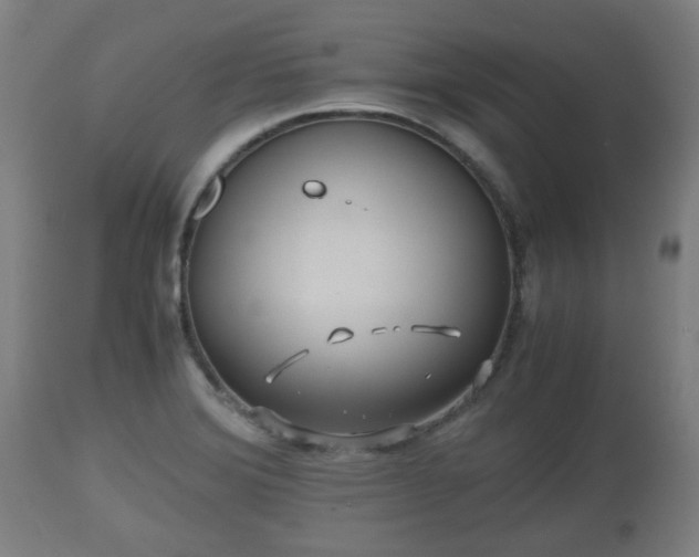 X0000110931372200906251323