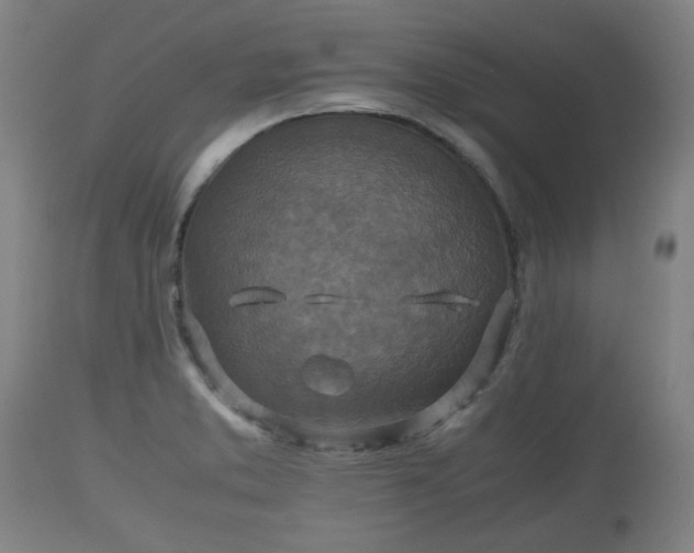 X0000110931373200906251323