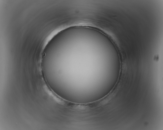 X0000110931374200906251323