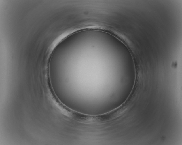 X0000110931375200906251323