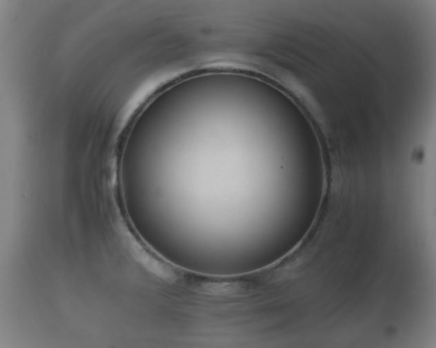 X0000110931376200906251323