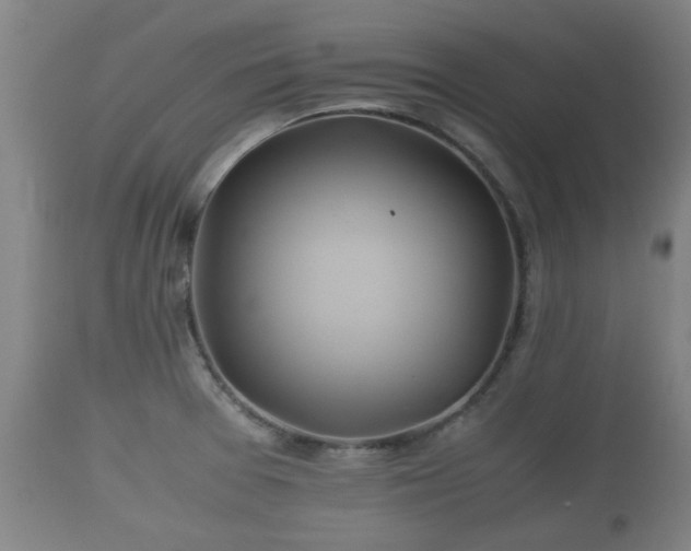 X0000110931377200906251323
