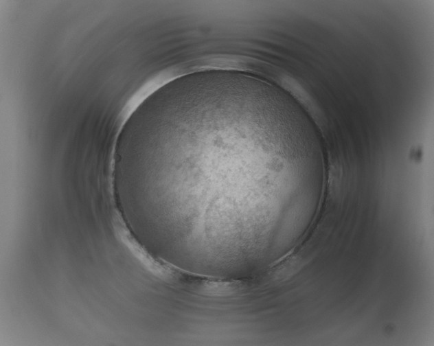 X0000110931378200906251323