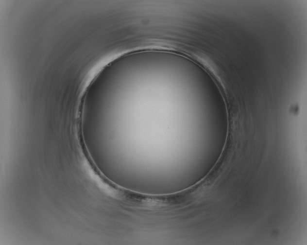 X0000110931379200906251323