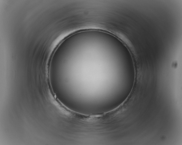 X0000110931380200906251323