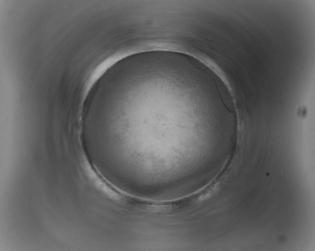 X0000110931381200906251323