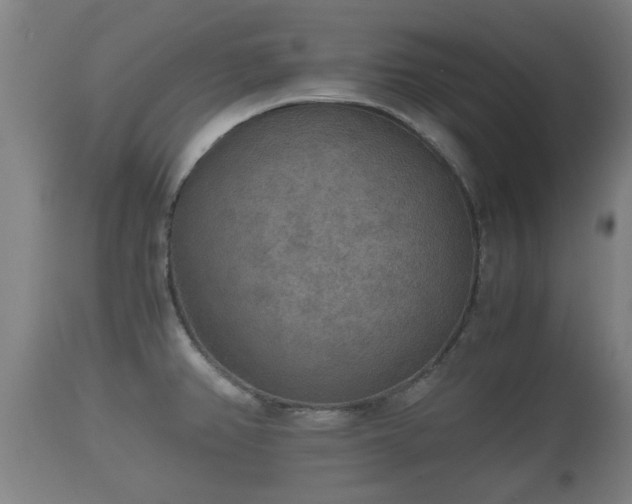 X0000110931382200906251323