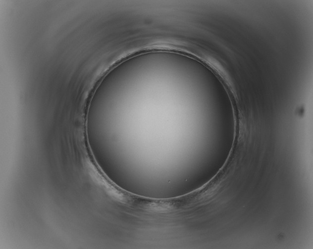 X0000110931384200906251323