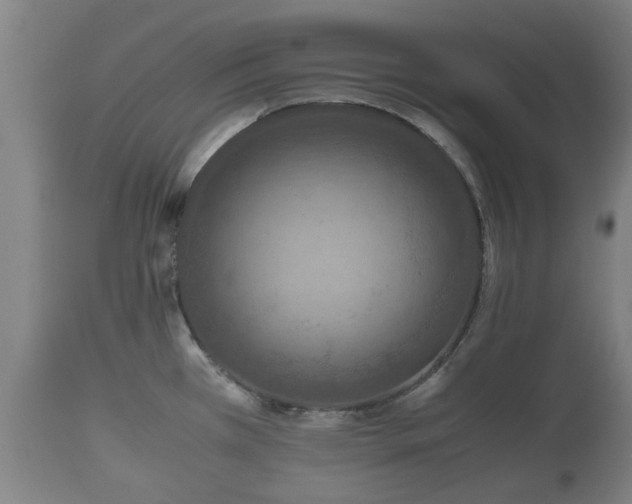 X0000110931385200906251323