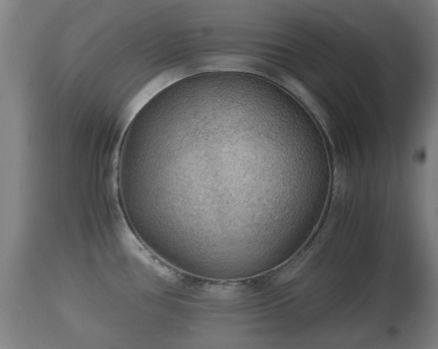 X0000110931386200906251323