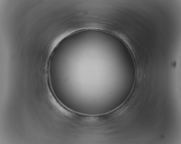 X0000110931387200906251323