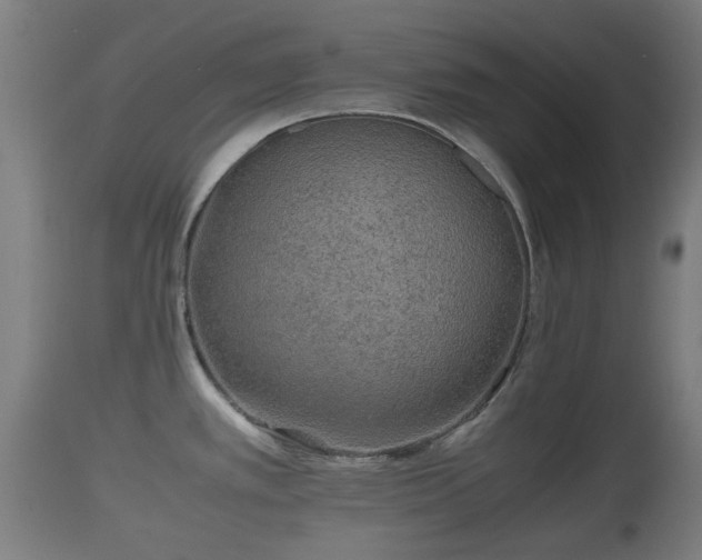 X0000110931389200906251323