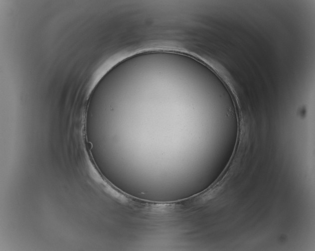 X0000110931390200906251323