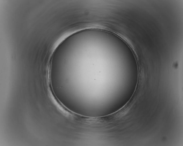 X0000110931391200906251323