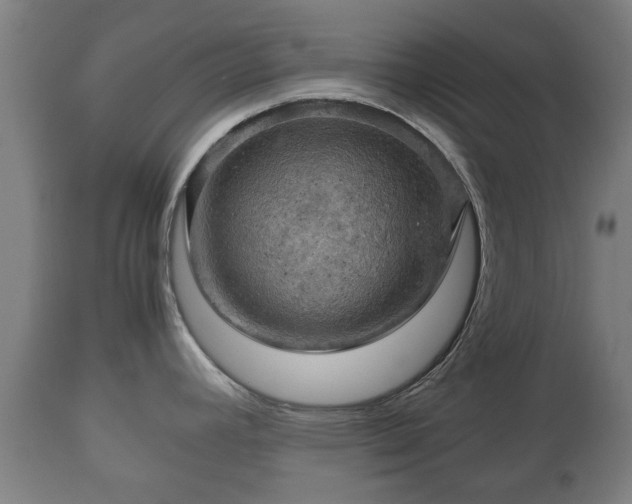 X0000110931392200906251323