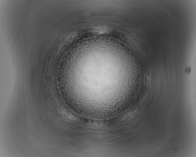 X0000110931393200906251322