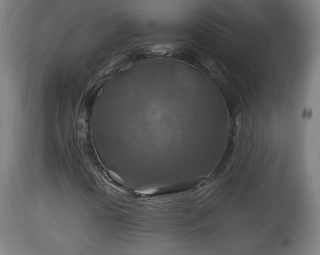 X0000110931394200906251322