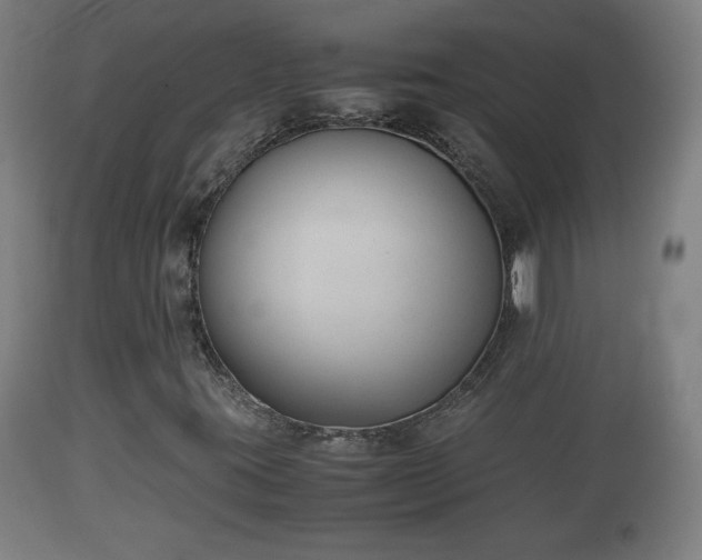 X0000110931395200906251322