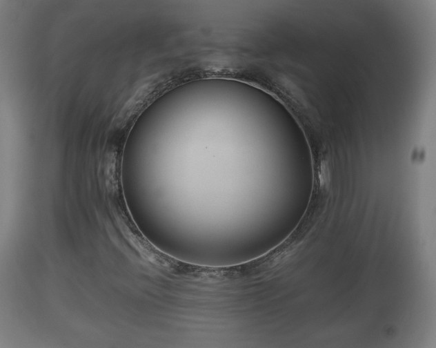 X0000110931396200906251322