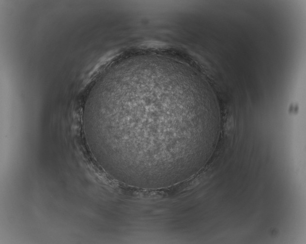 X0000110931397200906251322