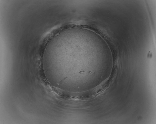 X0000110931398200906251322