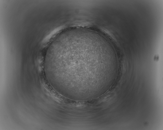 X0000110931399200906251322