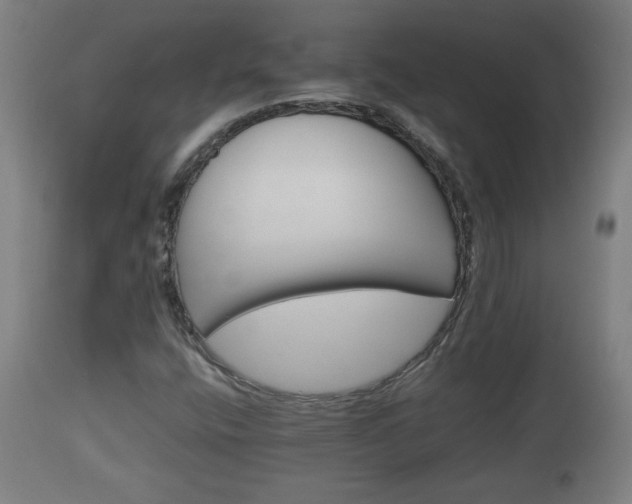 X0000110931400200906251322
