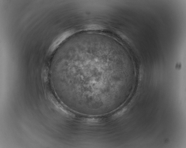 X0000110931401200906251322