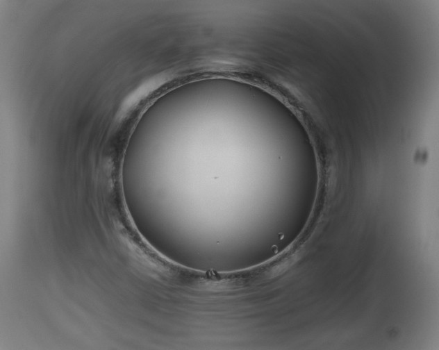 X0000110931402200906251322