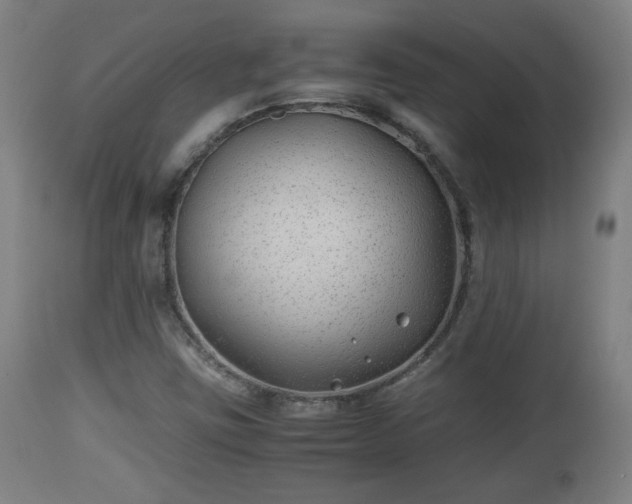 X0000110931403200906251322