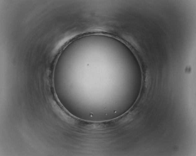 X0000110931404200906251322
