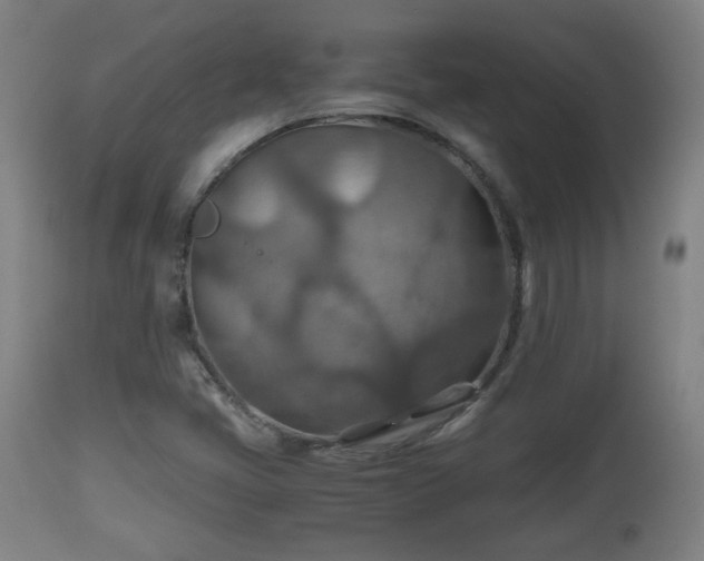 X0000110931405200906251322