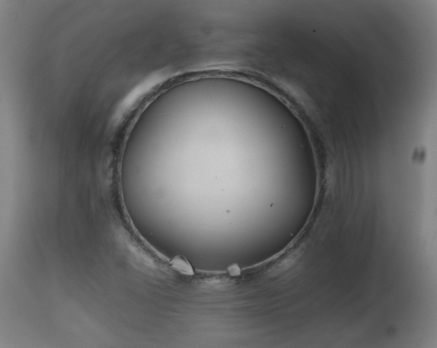 X0000110931406200906251322