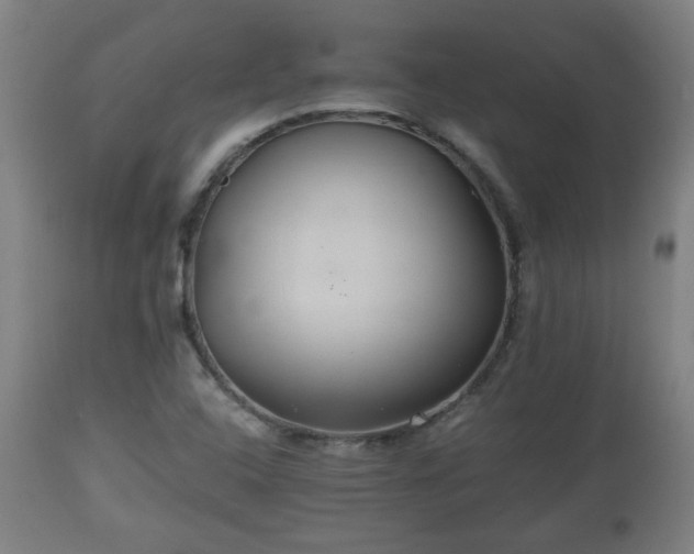 X0000110931408200906251322
