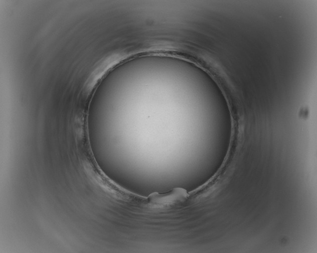 X0000110931409200906251322